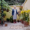 Primavera Febril - Single