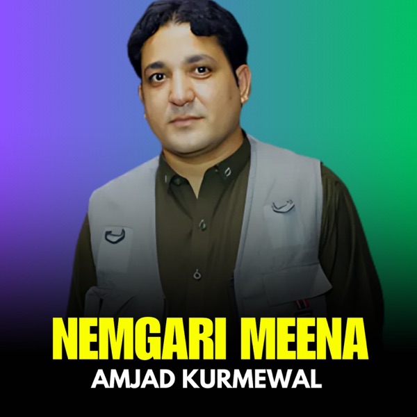 Nemgari Meena