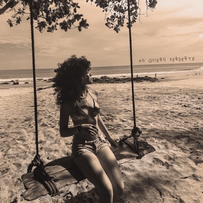 no quiero perderte - Single