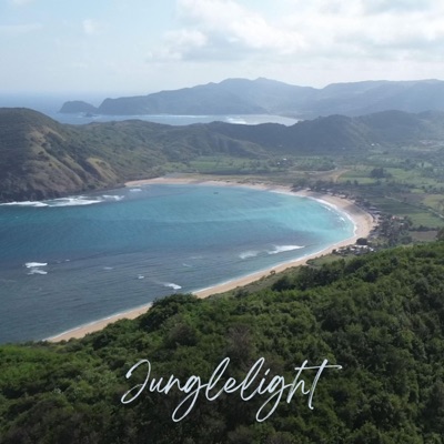 Junglelight (feat. Leni) - Single