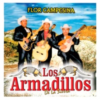 Flor Campesina - Los Armadillos de la Sierra