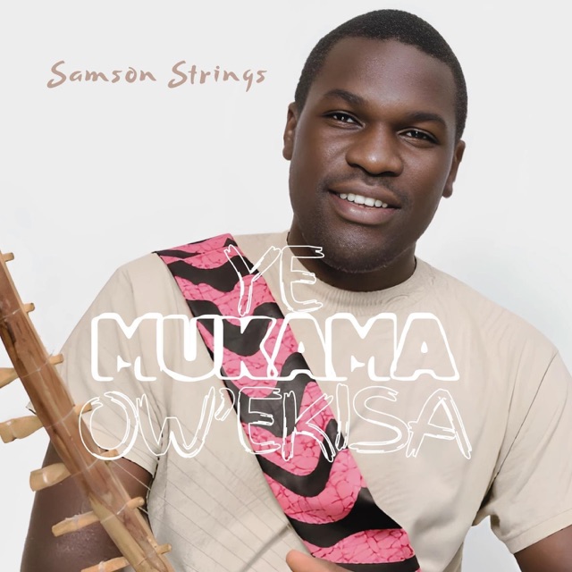 Samson Strings