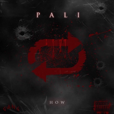 PALI - Single