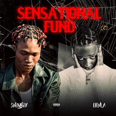 Sensational Fund (feat. efenla) - Single