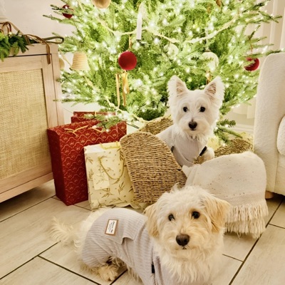 Another Last Minute Xmas