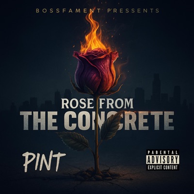 Rose from the concrete