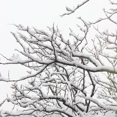 Cold Weather - Single