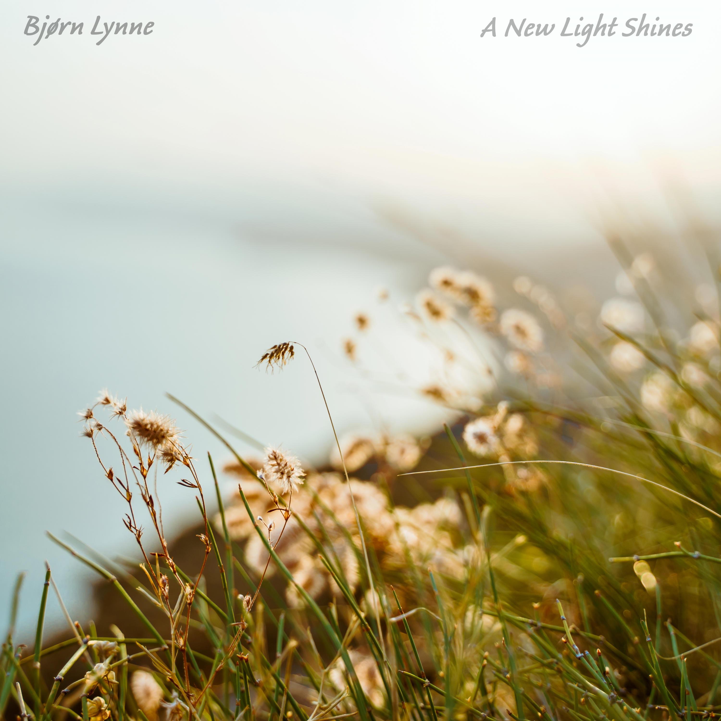 A New Light Shines - Single