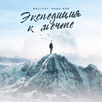 Экспедиция к мечте - Single - WELLVIZY & Маша Фэй