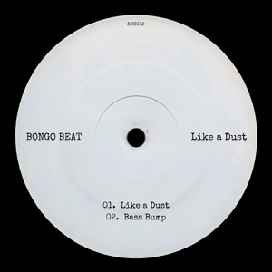 Like a Dust - Single