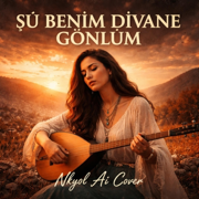 Şu benim divane gönlüm (Psychedelic Anatolian Rock) - NKYOL