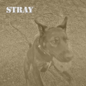 Stray (Demo) - Single