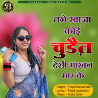 Tane Khaja Koi Chudel Desi Makhan Mar Ke - Single - Payal Rajasthani