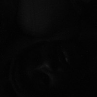 Sharks With Feet - Single - paidnotspending