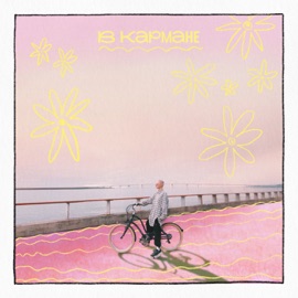 в кармане Тося Чайкина