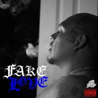 Fake Love - Single - rascal2600
