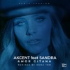 Amor Gitana (feat. Akcent) [Remix] - Single