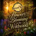 Flowers Blooming in the Wildwood