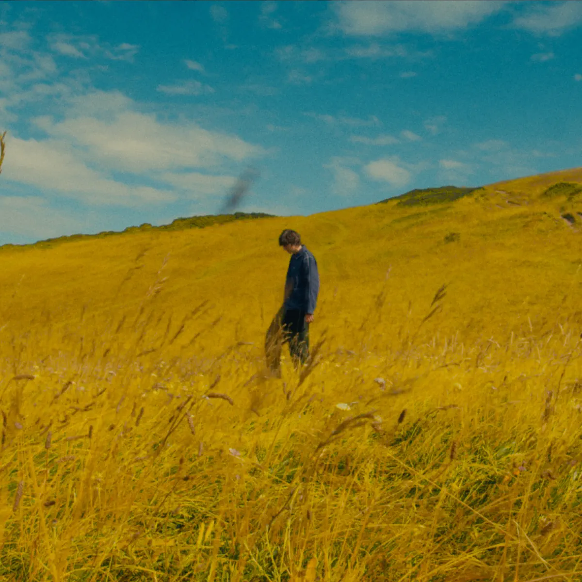 Zander - Over Now - Single (2025) [iTunes Plus AAC M4A]-新房子