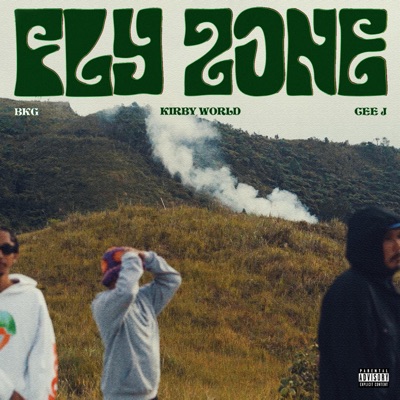 FLY ZONE (feat. BKG, Kirby World & Cee J) - Single