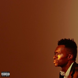 Blonde Redhead Dane Diamond