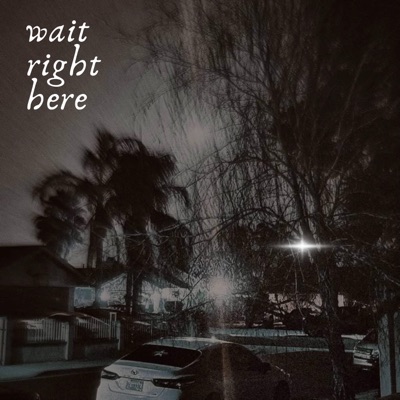 wait right here (feat. Swaee) - Single
