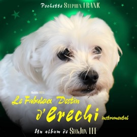 メンヘラ (menhera) [Instrumental] erechi