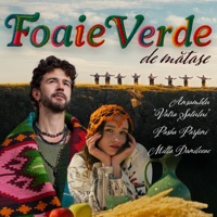 Foaie Verde De Matase