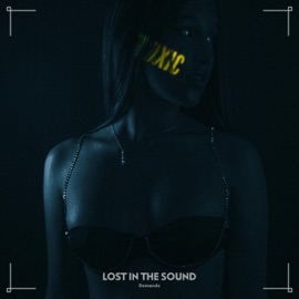Lost In The Sound Demando