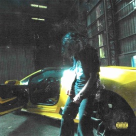 ASAP ROCKY (feat. lost2k) viceroyy