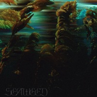 Seaweed (feat. Guti:., Jadedloner & Procaine) - Single - Lost Lane