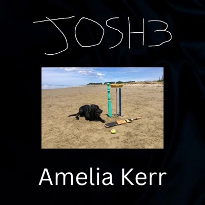 Amelia Kerr - Single