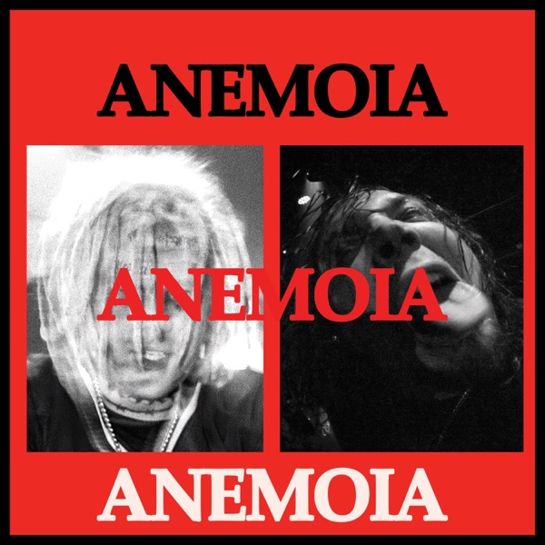 Anemoia