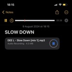 SLOW DOWN - Single