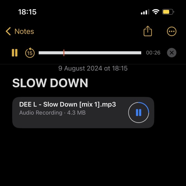 SLOW DOWN - Single album cover