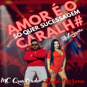 Amor é o caralho-Só quer sucessagem