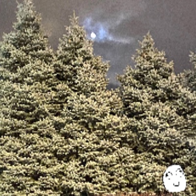 I've Not Much Longer, Yet Luv Is Eternal - Single