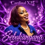 Sebakanyana - Single