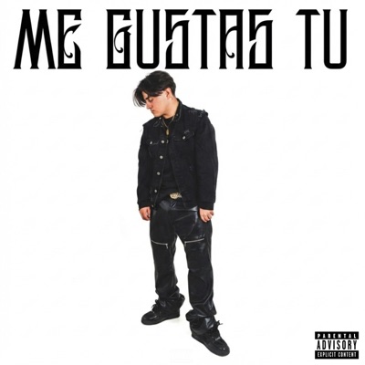 ME GUSTAS TU - Single