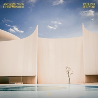 Falling for You - Single - Andrew Nagy