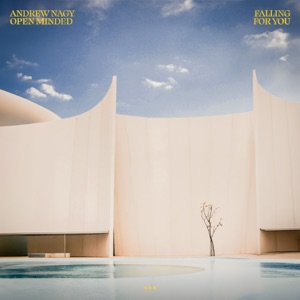 Falling for You - Single