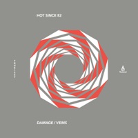 Damage / Veins - Single - Hot Since 82