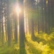 Into The Light Single