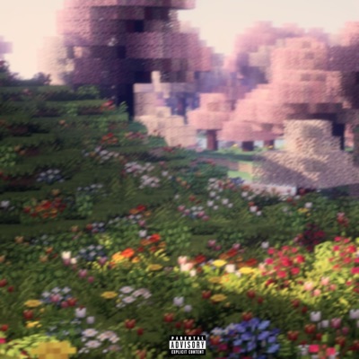 Minecraft (feat. Sky Sora) - Single