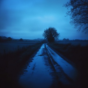 analog - Single