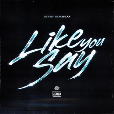 Like You Say - Single