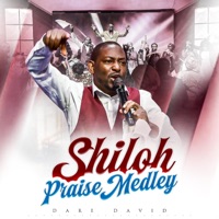 Shiloh Praise Medley - EP - Dare David