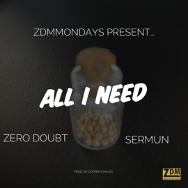 All I Need (feat. Sermun) Zero Doubt