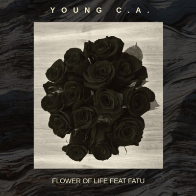 Flower Of Life (feat. Fatu) - Single