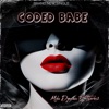 Coded Babe (feat. Tharbs2) - Single